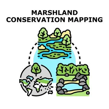 Marshland conservation mapping vector concept illustration Stock Illustration
