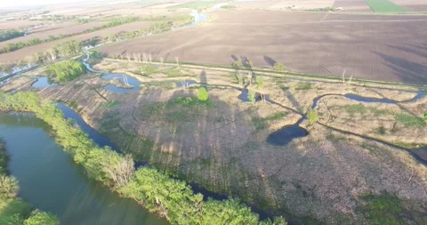 Marshland Drone Stock Footage 156529740