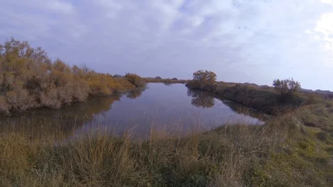 Marshland ecosystem in Girona Stock Footage 103573394