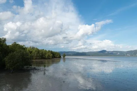 Marshland Foto stock