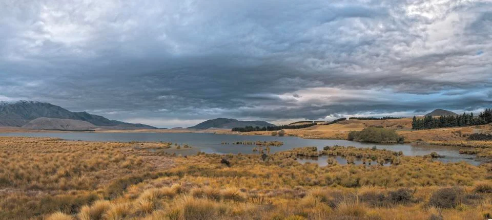 Marshland Stock Photos