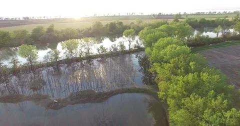 Marshland to sunset on Lake Stock Footage 167802538