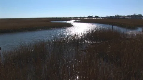 Marshland in Wachapreague, Accomack county Eastern shore of Virginia, USA Stock Footage 101354999