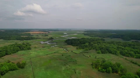 Marshlands from an Aerial View 4K Stock Footage 245439897