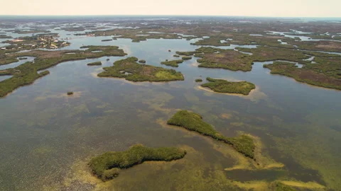 Marshlands of Crystal River 動画素材 284142258