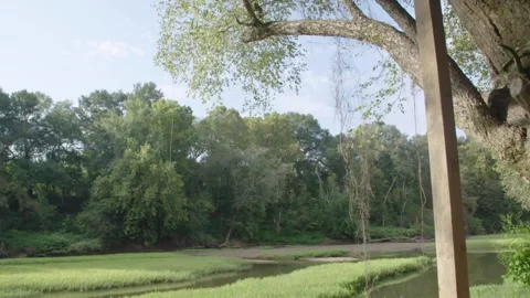 Marshlands, Wetlands 스톡 동영상 139320985