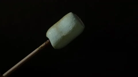 Marshmallow burning in fire Stock Footage 145278523