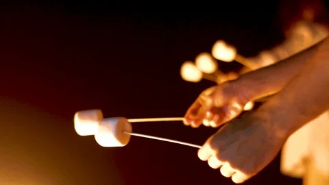 Marshmallow on the camp fire at night. Stock Footage 105372638
