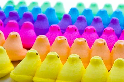 Marshmallow chicks Stock Photos