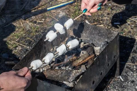 Marshmallow cook at the stake Foto stock