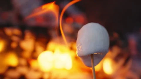 Marshmallow over fire close up 스톡 동영상 259165361