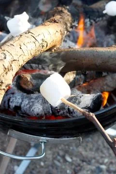 Marshmallow Stock Photos