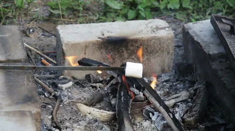Marshmallow roasted in campfire and getting bronzed 库存影片 27088003