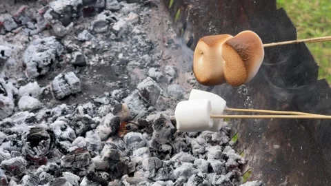 Marshmallow roasting Stock Footage 339419611