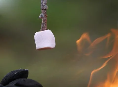Marshmallow roasting Stock Photos