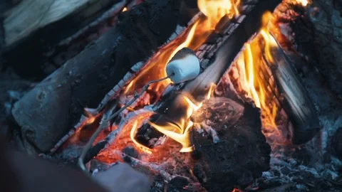 Marshmallow roasting on stick in front of hot red campfire coals Stock Footage 95994673