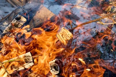A marshmallow roasts over a bonfire, the flames dancing in the night air. Foto stock