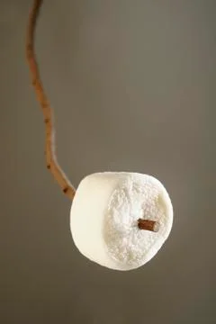 Marshmallow on stick Stock Photos