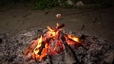 Marshmallow on a stick roasted on a fire close up. Campfire at night. Stock Footage 138671187