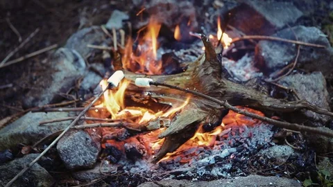 Marshmallows being fried on open fire during the picnic. Two sticks over the cam Stock-Footage 113963332