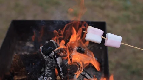 Marshmallows cooked on the fire in spring day Stock Footage 128779299