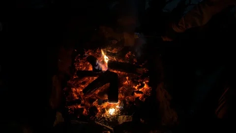 Marshmallows Fire Children Stock Footage 113059856