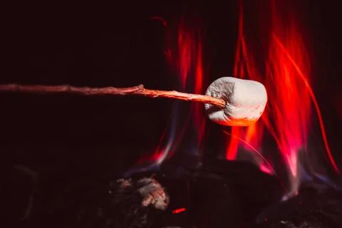 Marshmallows over a campfire close up Stock Photos