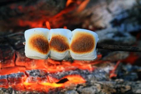 Marshmallows Stock Photos