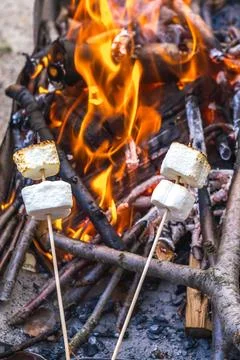 Marshmallows Stock Photos