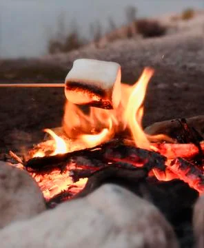 Marshmallows roasted over a fire Stock Photos