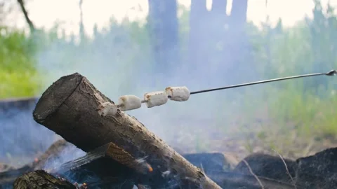Marshmallows roasting on campfire at the campsite. Camping. Bonfire. Stock-Footage 291329716