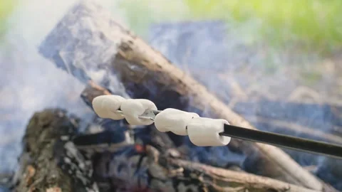 Marshmallows roasting on campfire at the campsite. Camping. Bonfire. Stock-Footage 291329768