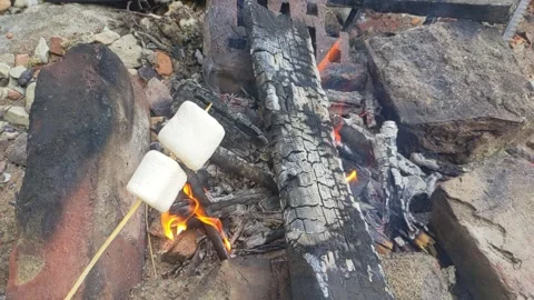 Marshmallows roasting over a campfire on a stick. The fire burns brightly among Stock Footage 336472330
