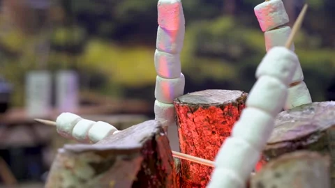 Marshmallows roasting over campfire on wooden sticks. Stock Footage 330624802