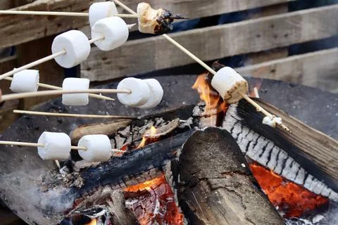 Marshmallows roasting over fire 스톡 사진