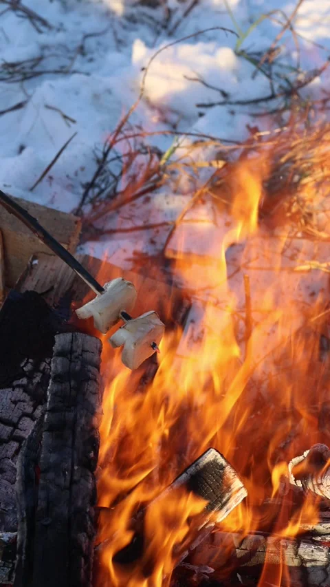 Marshmallows roasting over an open campfire in the snow during winter. Stock Footage 325680684