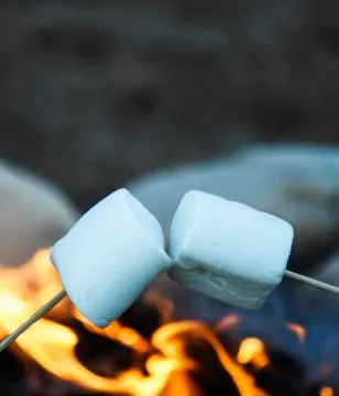 Marshmallows  roasting Stock-Fotos