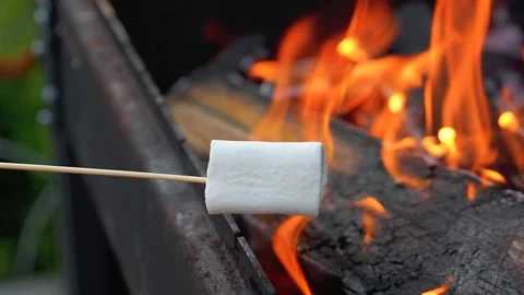 Marshmallows on a stick are fried over a fire Stock Footage 318713787