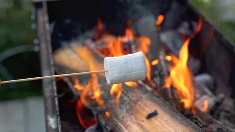 Marshmallows on a stick are fried over a fire Stock Footage 318713791