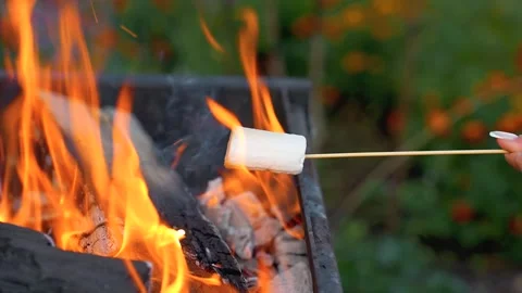 Marshmallows on a stick are fried over a fire Stock Footage 318713794