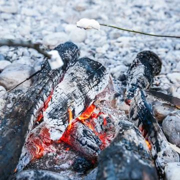 Marshmallows sticked on a twig, being toasted Stock Photos