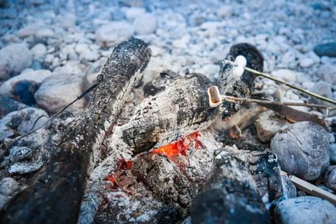 Marshmallows sticked on a twig, being toasted Stock Photos