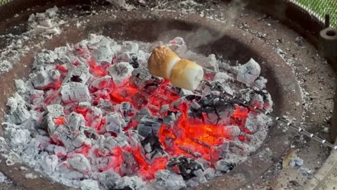 Marshmallows toasting on an open fire Stock Footage 285095742