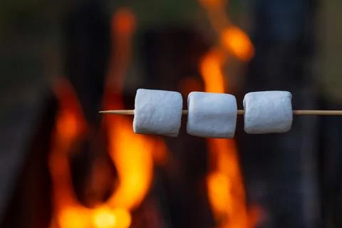 Marshmallows on a wooden stick Stock Photos