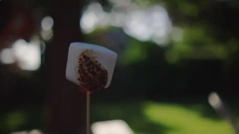 Marshmello on fire static Stock-Footage 295918680