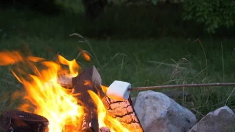 Marshmellow burns on campfire Stock Footage 93178615
