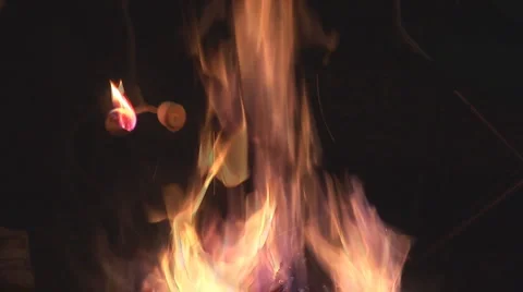Marshmellows Campfire Camping Stock Footage 904765