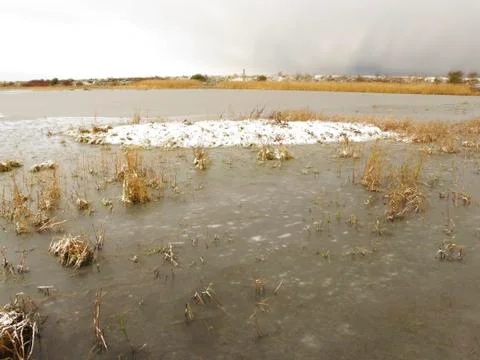 Marshside RSPB Reserve Stock Photos