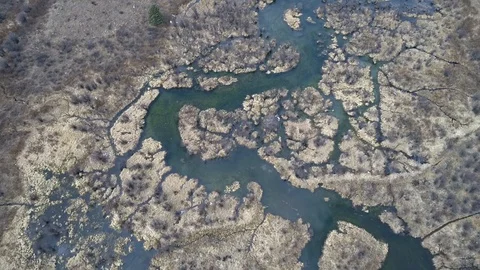 Marshy fly over Video stock 86604739