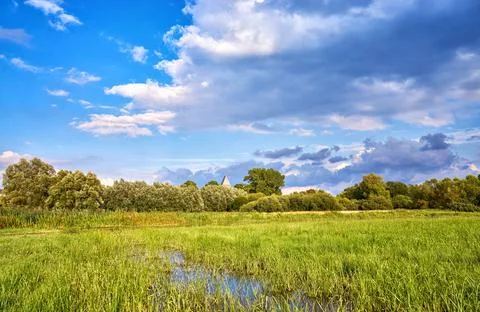 Marshy meadow with clouds in the background. Stock Photos